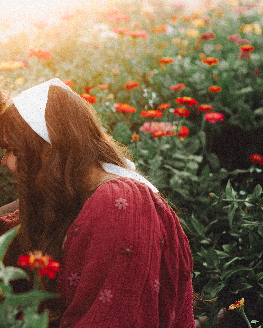 Lovestory Pregnancy Announcement Among the Sunflowers of the Wooden Shoe Tulip Farm — photograph 35 of 39